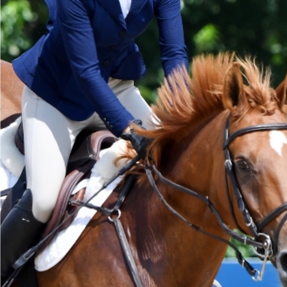 00r Navy Mesh show coat - Picture 3 of 3